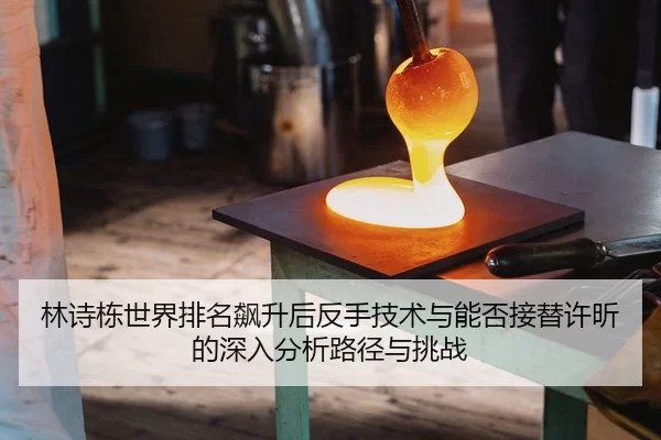 林诗栋世界排名飙升后反手技术与能否接替许昕的深入分析路径与挑战