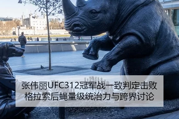 张伟丽UFC312冠军战一致判定击败格拉索后蝇量级统治力与跨界讨论